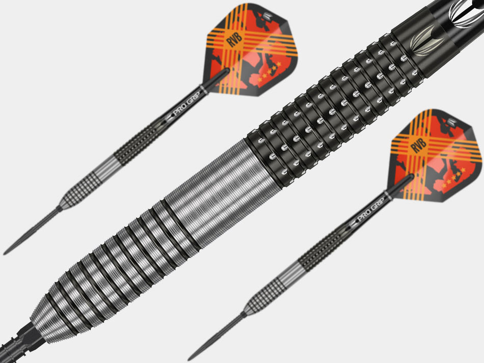 Target Darts Raymond Van Barneveld RVB 95 Gen 3