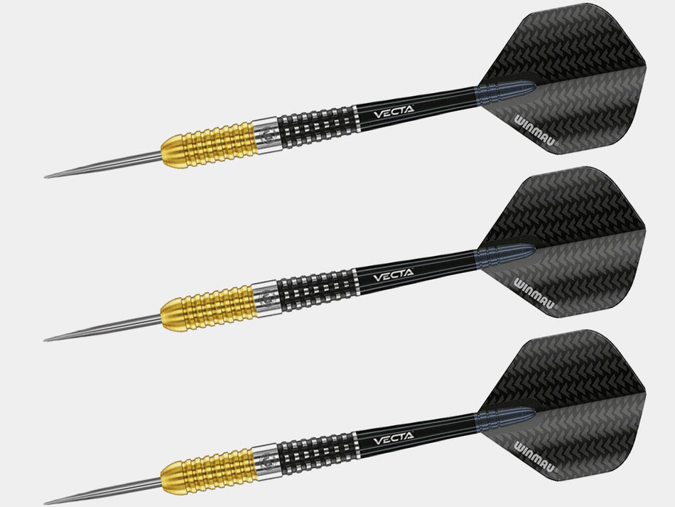 Steve Beaton Special Edition Steel Tip Darts